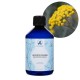 Helichrysum Italian Organic